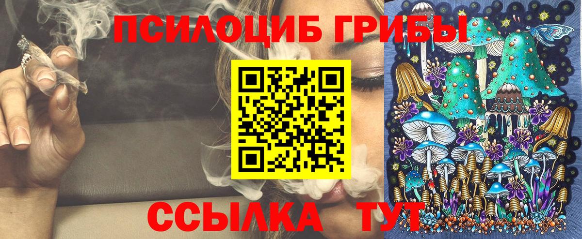 Псилоцибиновые грибы Psilocybe Сызрань