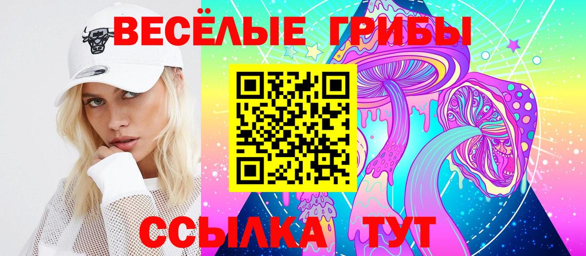 Псилоцибиновые грибы Psilocybine cubensis  Вход с VPN  Галлюциногенные грибы прущие грибы  Сызрань 